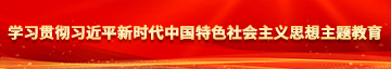 免费看日逼,网站学习贯彻习近平新时代中国特色社会主义思想主题教育